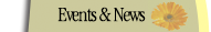 allentown lawn, garden, patio furniture, grills, pet supplies