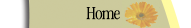 Lehigh valley, lawn, garden, patio furniture, grills, pet supplies